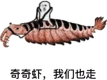 奇奇虾