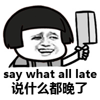 say what all late（说什么都晚了）