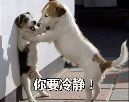 你要冷静！一只狗对另一只狗说