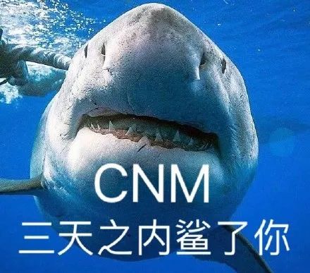 CNM三天之内鲨了你