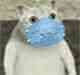 mur猫戴口罩表情包 