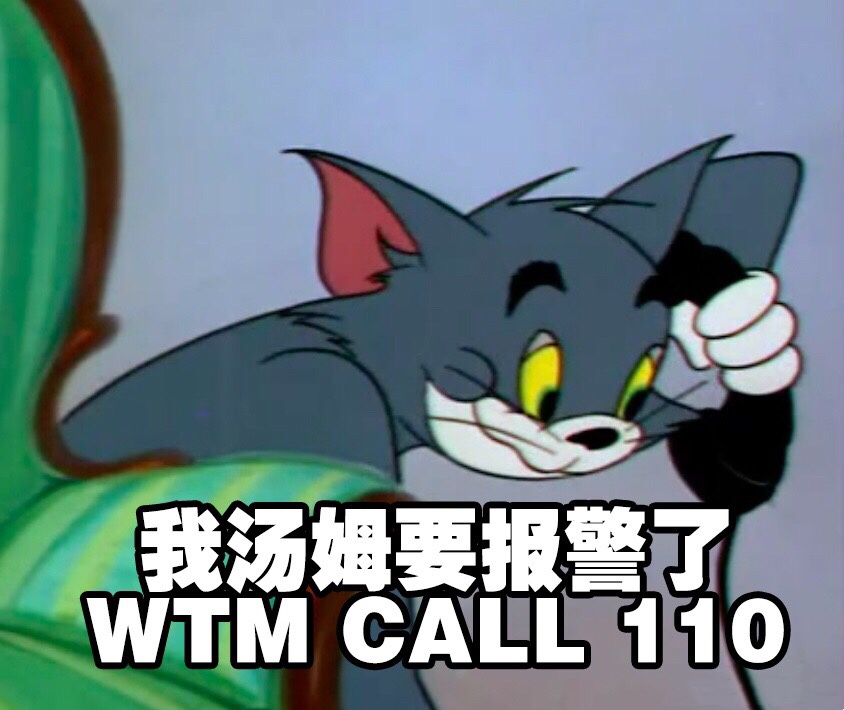 我汤姆要报警了 WTM CALL 110 