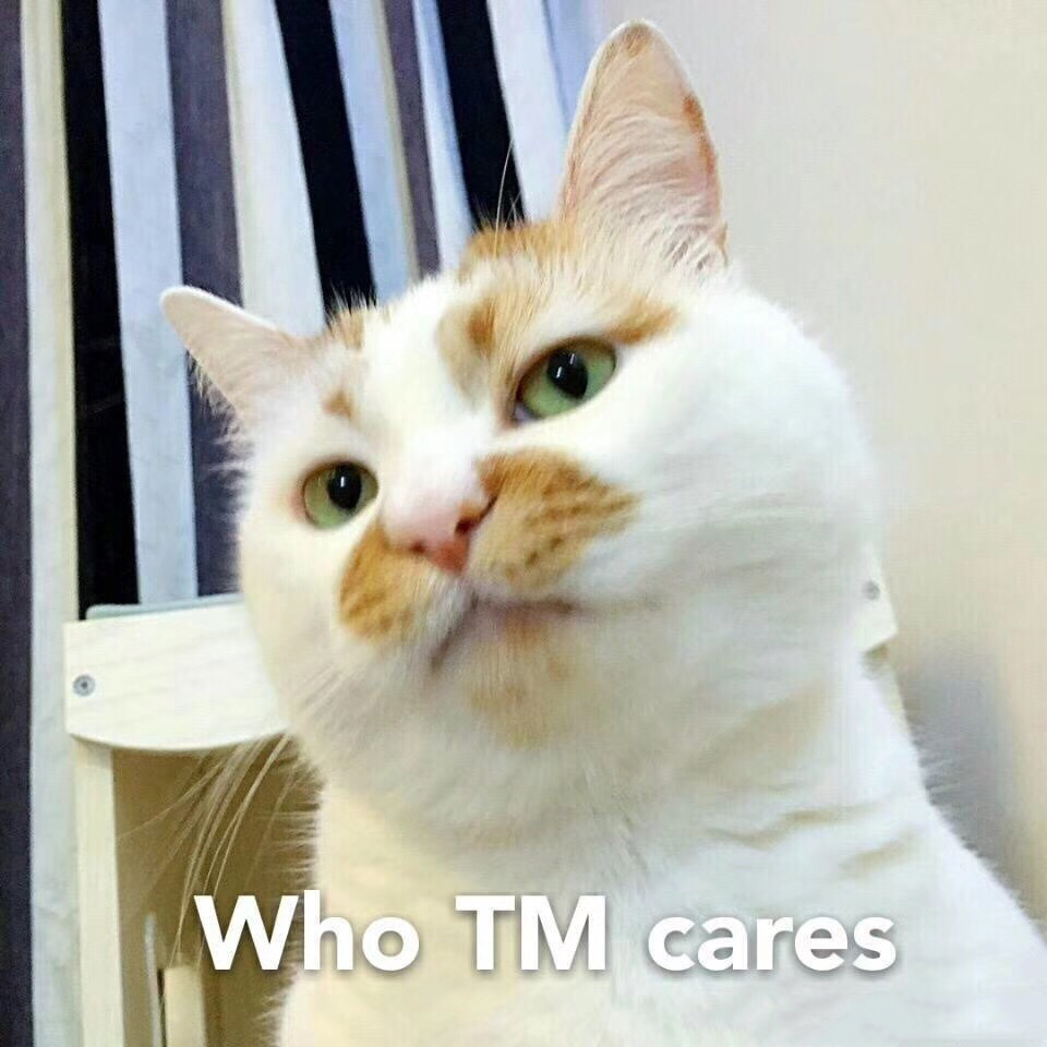 who TM cares 谁他妈在乎啊 
