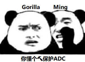 Gorilla Ming你懂个人保护ADC 