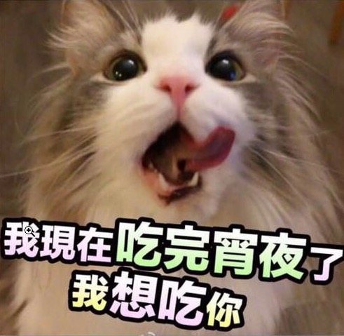 猫星人版：我现在吃完宵夜了，我想吃你。 