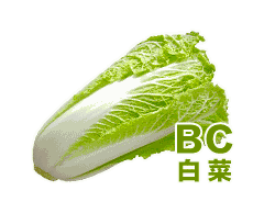 BC（白菜） 