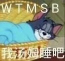 WTMSB 我汤姆睡吧 