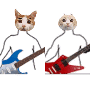 猫咪弹吉他 