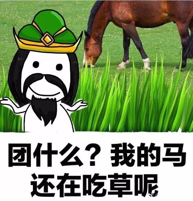 团什么？我的马还在吃草呢 