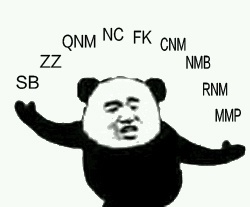 熊猫头怼人表情连击，SB ZZ QNM NC FK 