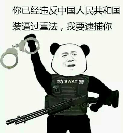 你已经违反中国人民共和国装逼过重法，我要逮捕你特警
