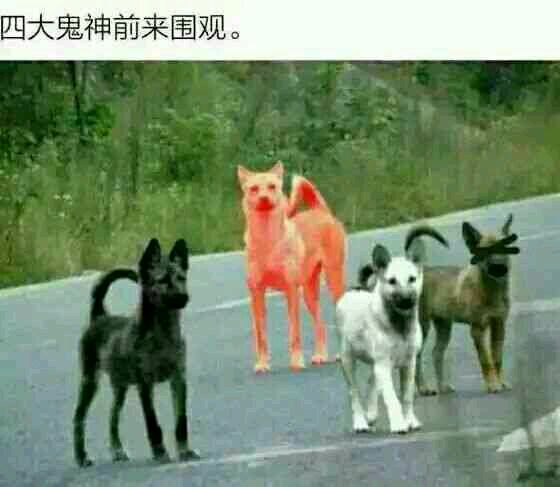 四条不同颜色的狗：四大鬼神前来围观