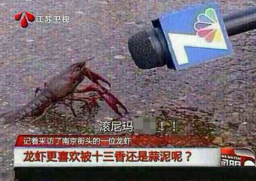 记者采访了南京街头的一位龙虾：龙虾喜欢被十三香还是蒜泥呢？滚尼玛