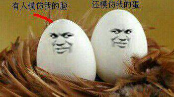 两个蛋：有人模仿我的脸 还模仿我的蛋