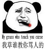 我草 谁教你骂人的？ My grass who teach you curse