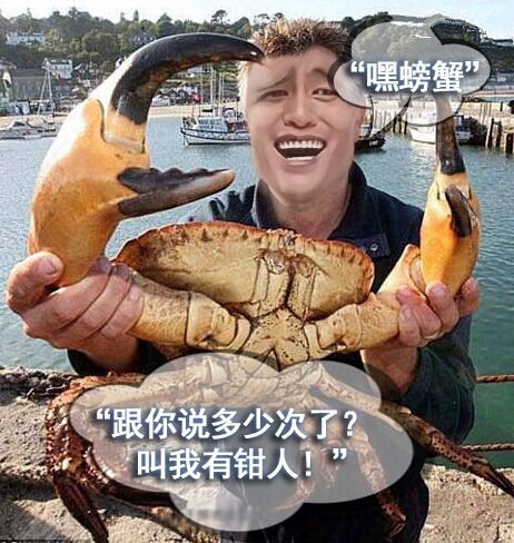跟你说多少次了，叫我有钳人！ 螃蟹