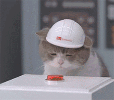 小猫按红色按钮爆炸