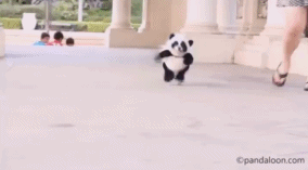 开心小熊猫