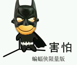 害怕蝙蝠侠限量版