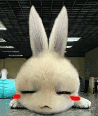 兔兔眨眼