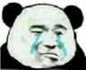 熊猫伤心哭了