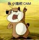我小猪熊CNM