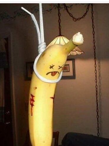 香蕉已死