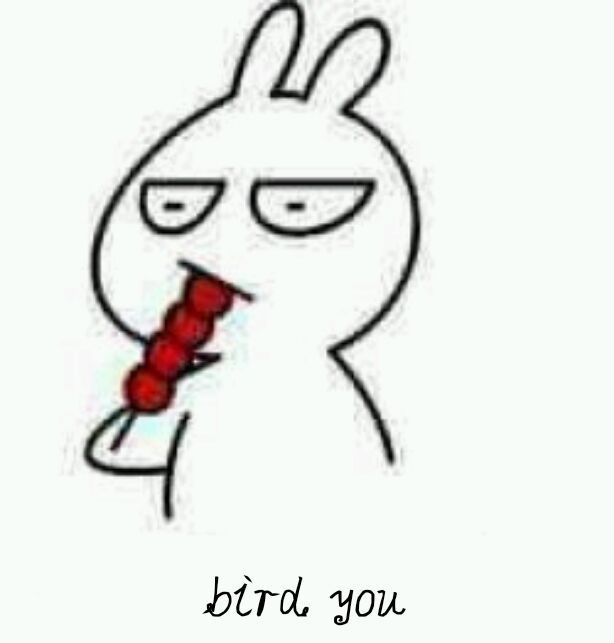 bird you