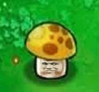 蘑菇教皇小人