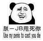 朕一JB甩死你（use my penis to cast you）
