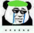 绿帽熊猫