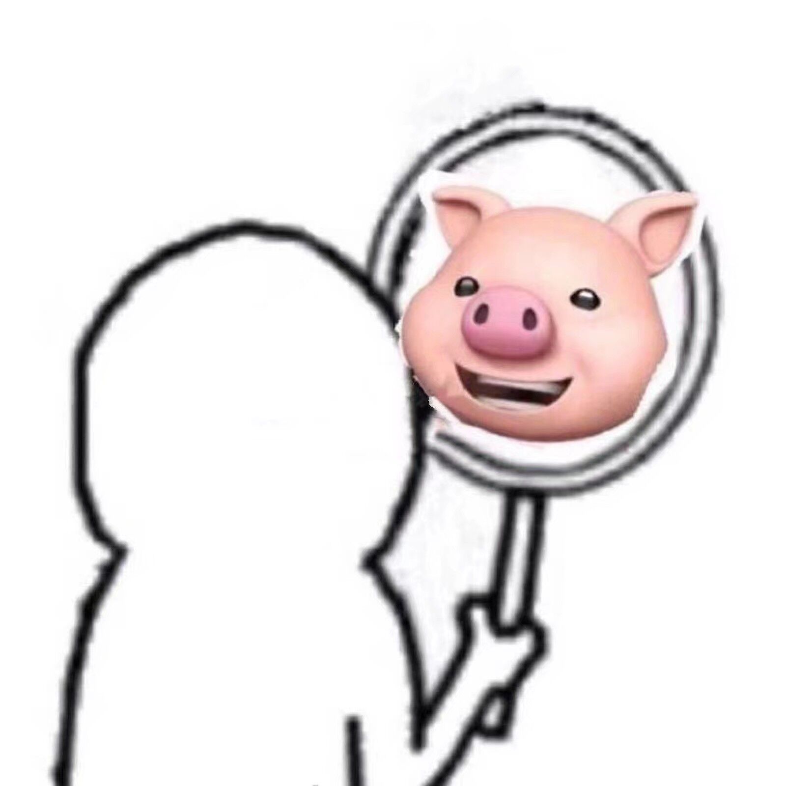 自己是猪（照镜子）