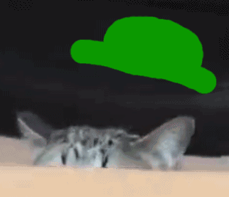 绿帽戴上啦（小猫）