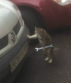 小猫修车