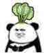 白菜熊猫人