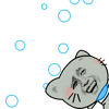 金馆长小猫在泡泡中游泳