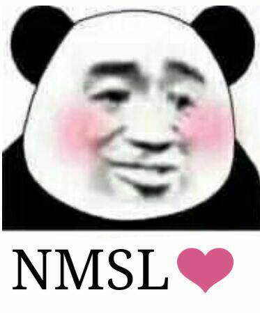 NMSL