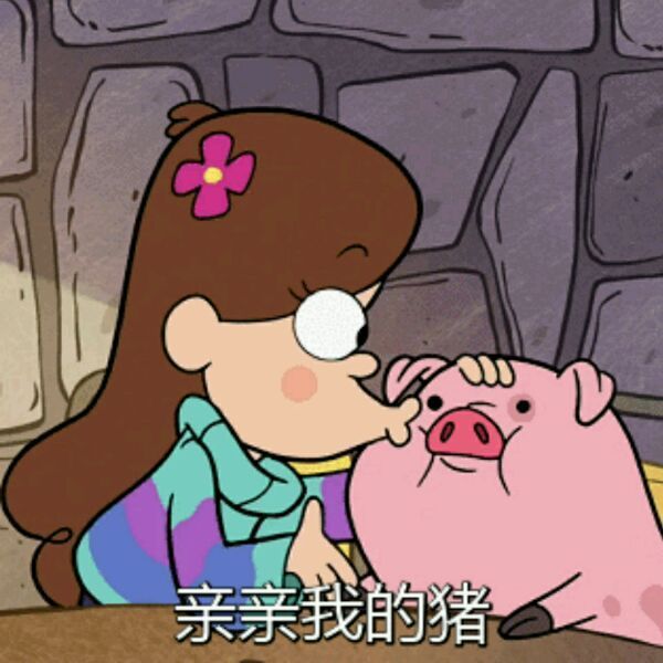 亲亲我的猪