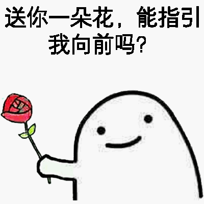 送你一朵花，能指引我向前吗？