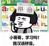 小哥哥，学习吗？我汉语拼音。