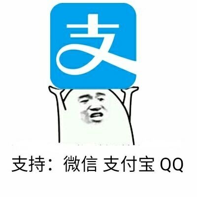 支持_微信支付宝QQ