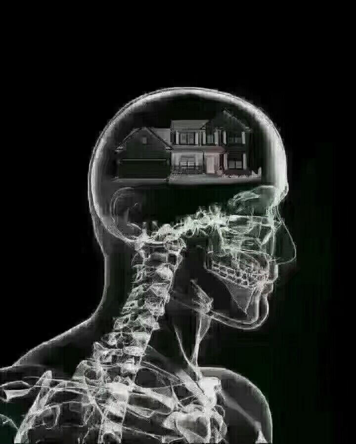 脑子都是房子