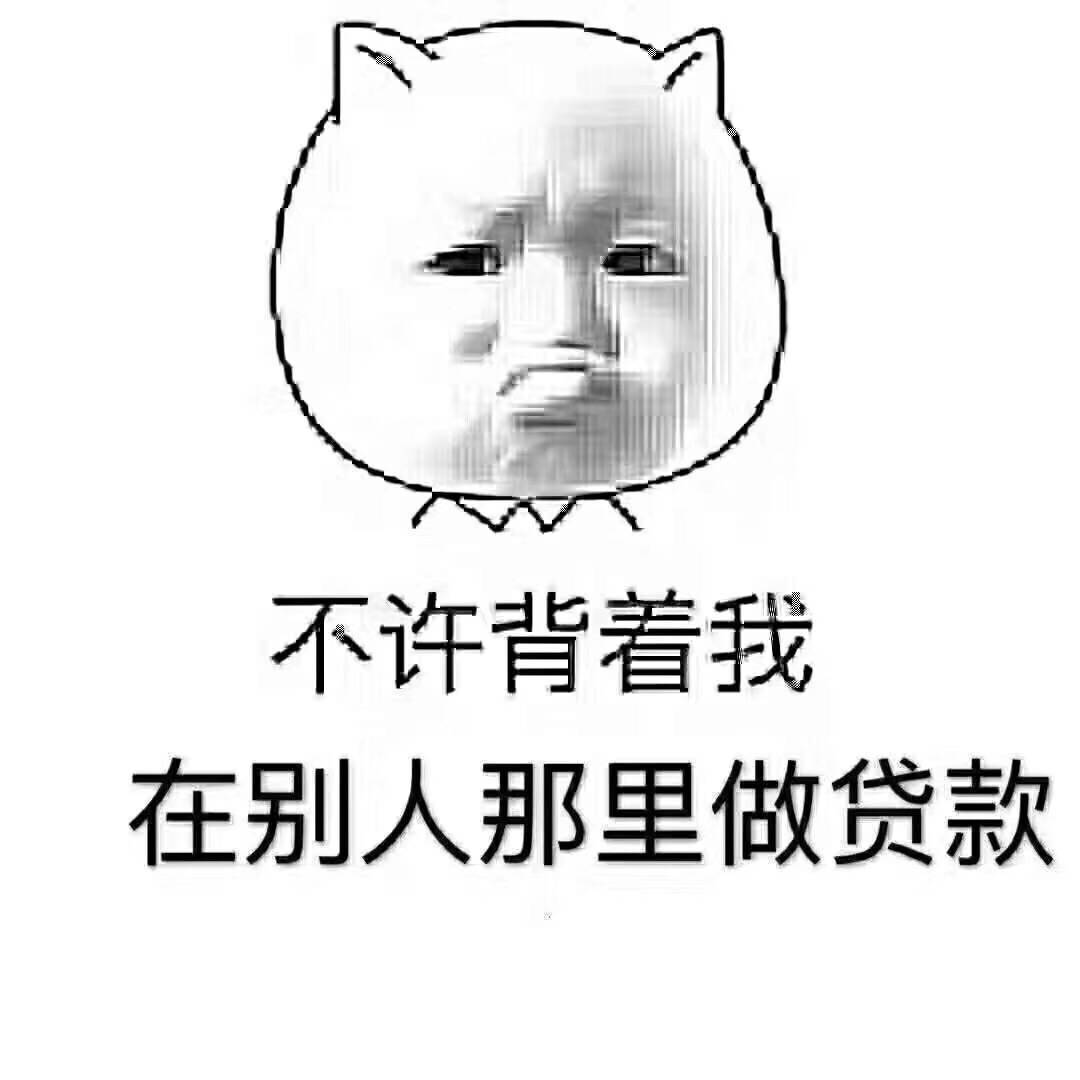 我发誓 中国人不骗中国人表情包图片gif动图 - 求表情网,斗图从此不求人!