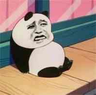 金馆长小熊猫坐地板上