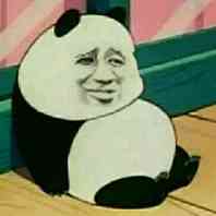 金馆长熊猫坐地板上
