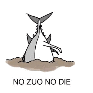 NO ZUO NO DIE