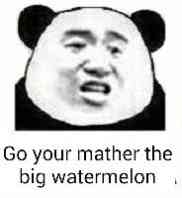Go your mother the big watermelon