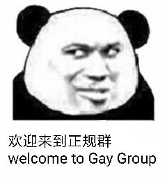 欢迎来到正规群welcome to Gay Group