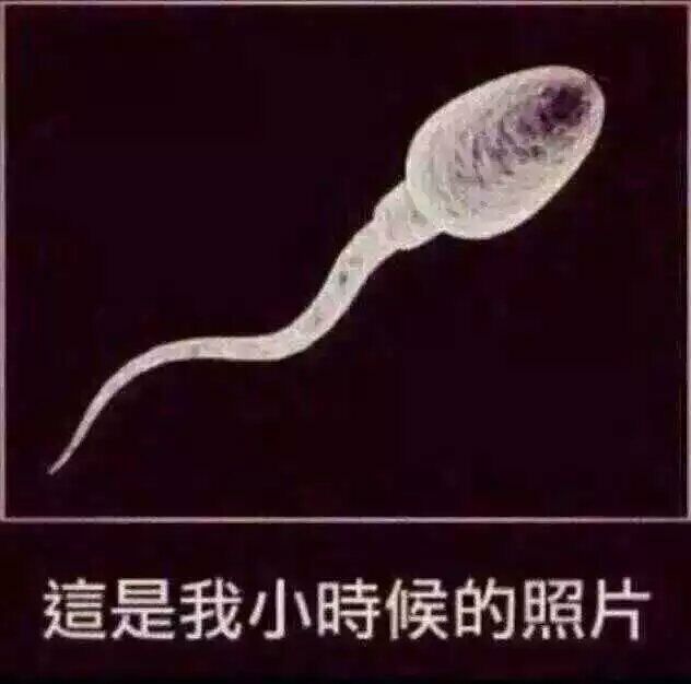 这是我小时候的照片（精子）