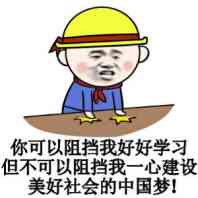 你可以阻挡我好好学习，但不可以阻挡我一心建设美好社会的中国梦！